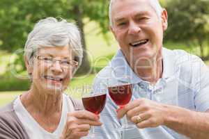 Portrait of senior couple toasting wine glasses at park