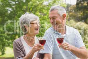 Senior couple toasting wine glasses at park