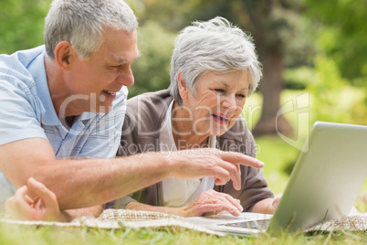 Smiling senior couple using laptop at park