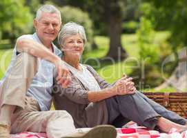 Senior couple with picnic basket at park