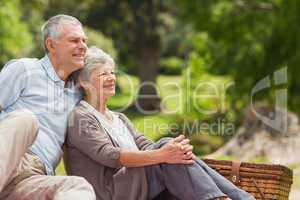 Smiling senior couple sitting with picnic basket at park