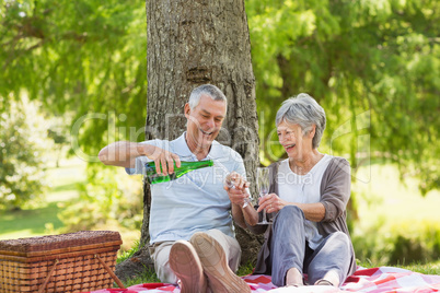 Cheerful senior couple having champagne at park