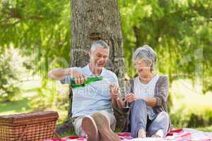 Cheerful senior couple having champagne at park