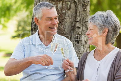 Happy senior couple toasting champagne flutes at park