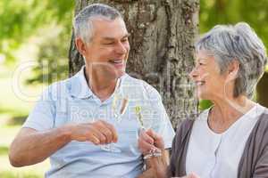 Happy senior couple toasting champagne flutes at park