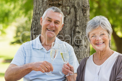 Portrait of happy senior couple toasting champagne at park