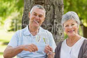 Portrait of happy senior couple toasting champagne at park