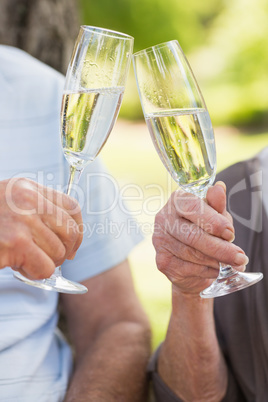 Hands toasting champagne flutes at park