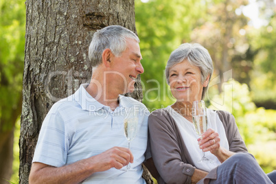 Happy senior couple with champagne at park