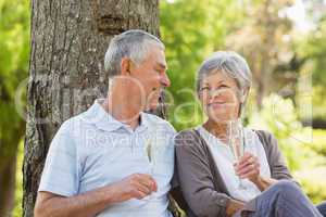 Happy senior couple with champagne at park