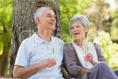 Happy senior couple with champagne at park