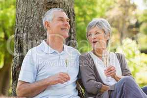 Happy senior couple with champagne at park