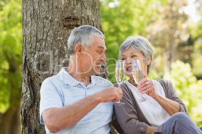 Happy senior couple toasting champagne at park