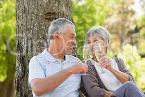 Happy senior couple toasting champagne at park