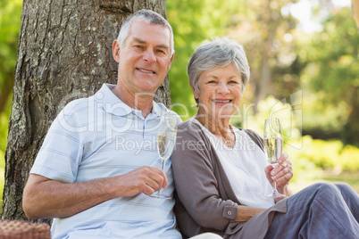 Happy senior couple with champagne at park