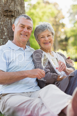 Happy senior couple with champagne at park Happy senior couple with champagne at park