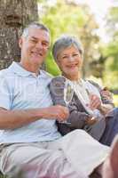 Happy senior couple with champagne at park