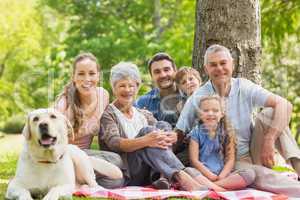 Extended family with their pet dog sitting at park