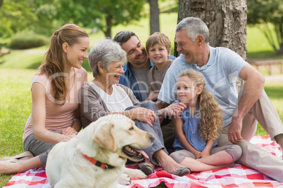 Extended family with their pet dog sitting at park