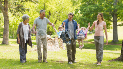 Full length of an extended family in park