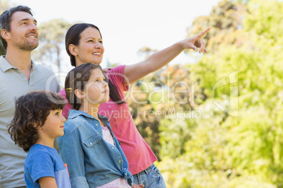 Family of four at the park