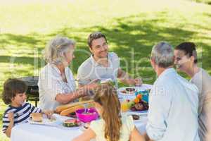 Extended family dining at outdoor table