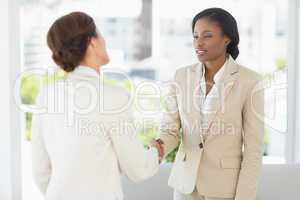 Two businesswomen meeting and shaking hands