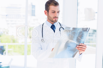 Concentrated young male doctor examining x-ray