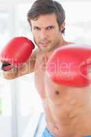 Portrait of a determined male boxer