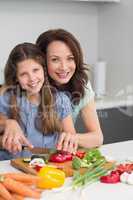 Woman with daughter chopping vegetables in kitchen