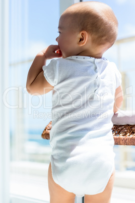 Rear view of a cute baby Rear view of a cute baby