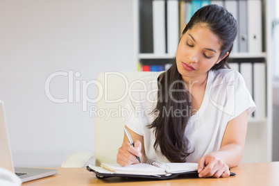 Young businesswoman writing in diary