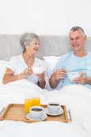 Senior couple having breakfast in bed