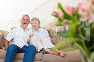 Happy senior couple relaxing on sofa