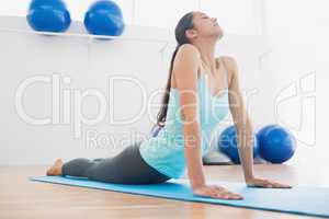 Fit young woman doing the cobra pose in fitness studio