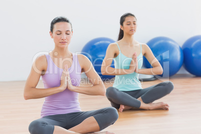 Two sporty women with joined hands in fitness studio