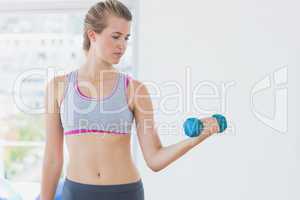 Young woman exercising with dumbbell in fitness studio