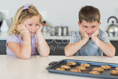 Brother and sister looking at tempting cookies