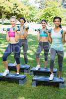 Sporty women doing step aerobics in park
