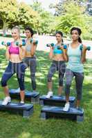 Sporty women doing step aerobics with dumbbells