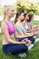 Women sitting in lotus position at park