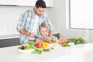 Father teaching his son how to chop vegetables