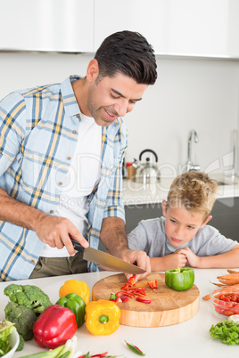 Handsome father teaching his son how to chop vegetables