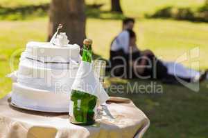 Wedding cake and champagne with couple relaxing at park