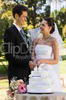 Newlywed couple cutting wedding cake at park