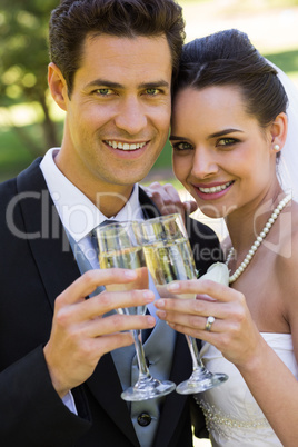 Newlywed toasting champagne flutes at park