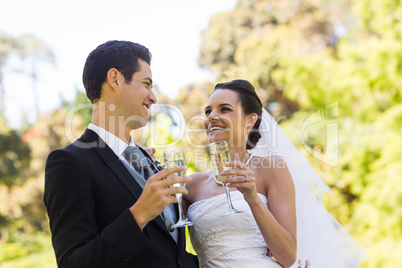 Happy newlywed toasting champagne flutes at park