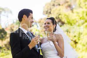 Happy newlywed toasting champagne flutes at park