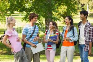 Group of cheerful college friends in campus