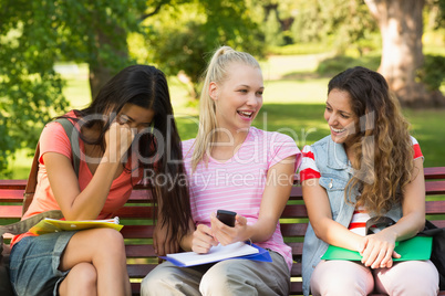 Happy female college friends sitting on campus bench